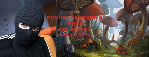 a pvp Зеленокумск