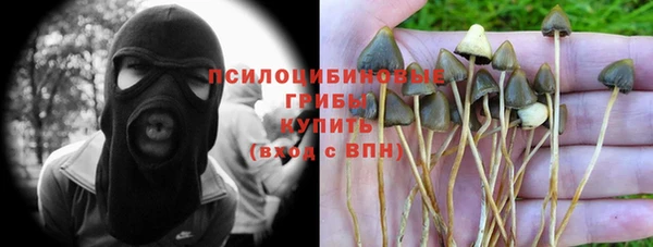 дмт Зеленодольск
