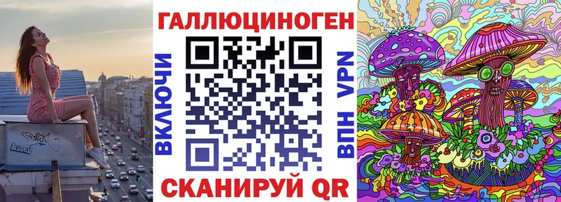 Купить где  Закаменск  Галлюциногенные грибы Psilocybine cubensis 